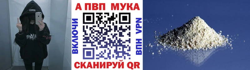 блэк спрут вход  Мамадыш  Alfa_PVP СК 