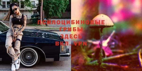 мдпв Абдулино