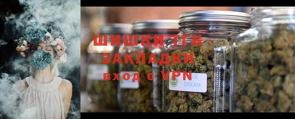 гидра Алексеевка
