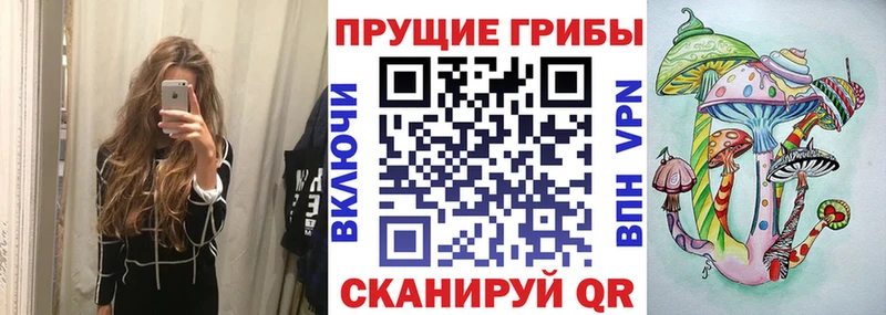 Галлюциногенные грибы MAGIC MUSHROOMS  продажа наркотиков  mega ссылка  Мамадыш 